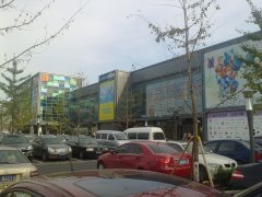 分钟寺工程项目介绍